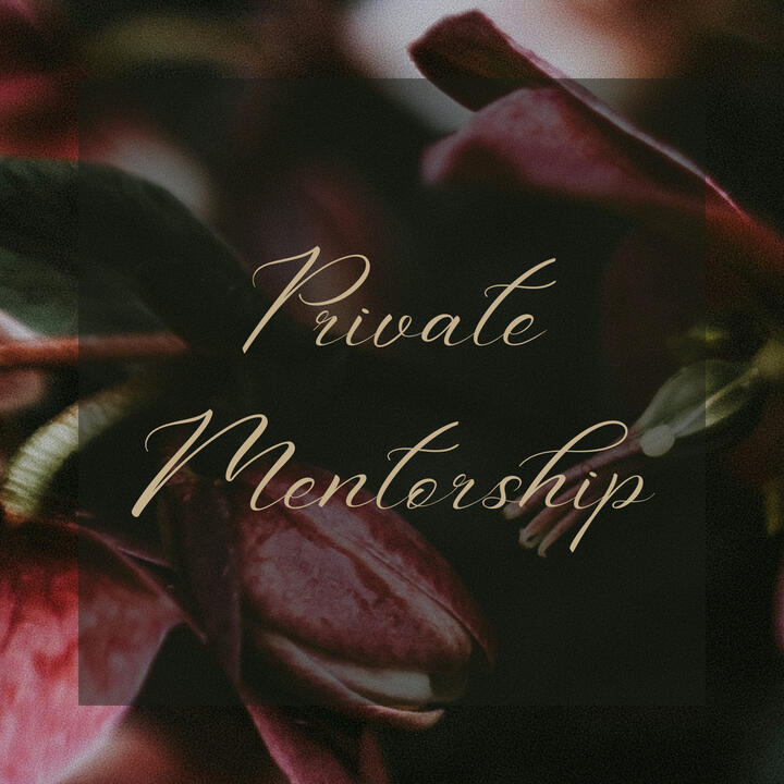 Private Mentorship